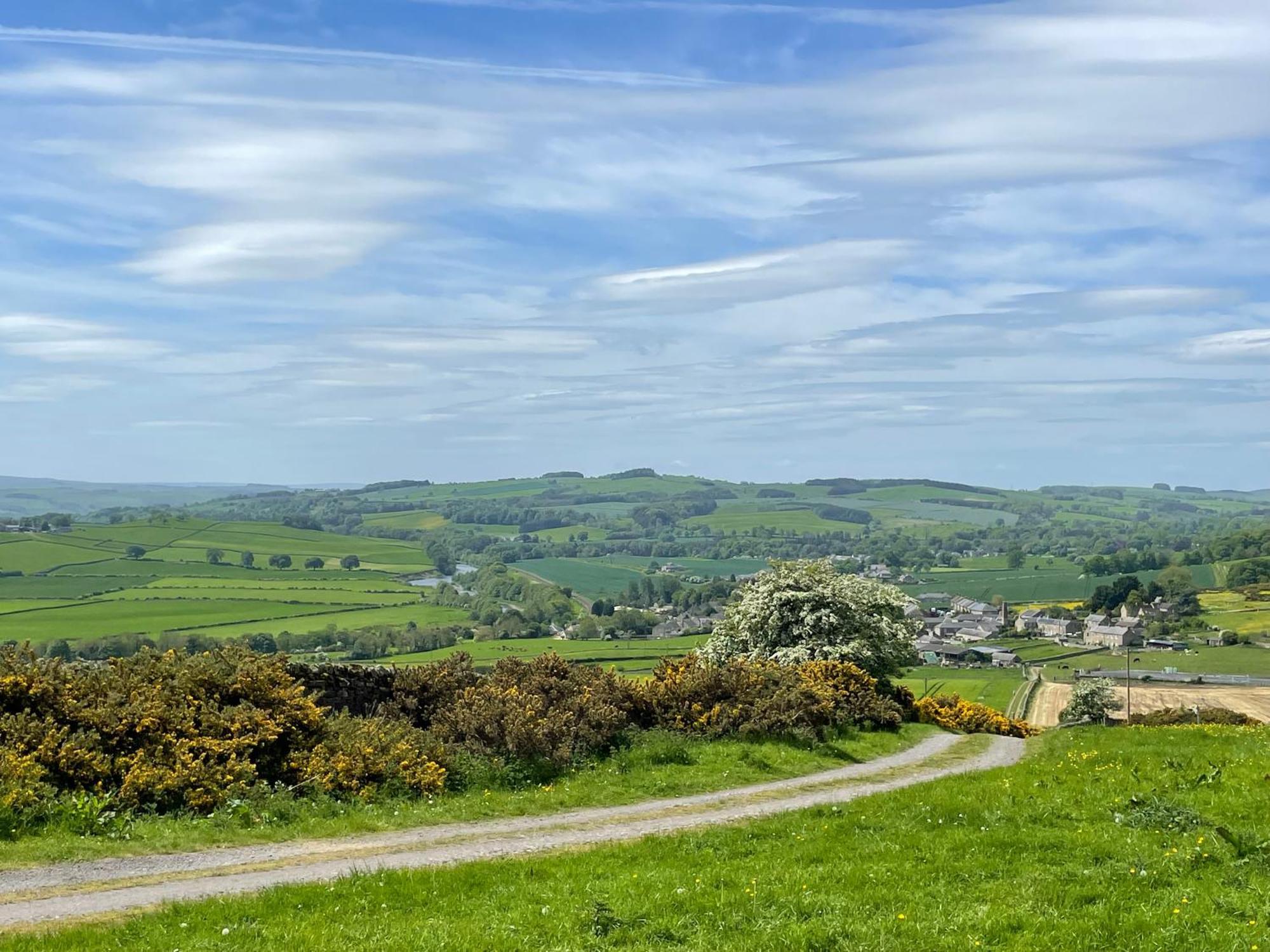 Stay On The Hill - Self Catered Cottages Laverick And Bothy Hexham Eksteriør bilde